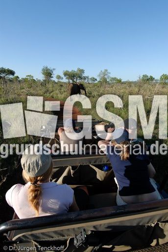 Afrikanischer Elefant (29 von 131).jpg